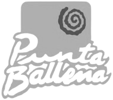 Punta Ballena Alfajores